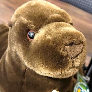 NWT Plush Cuddlecove Sea Lion Wild Republic deep brown. Central Park Zoo, NYC